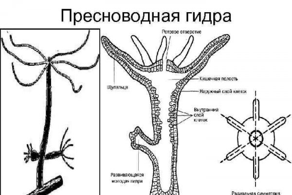 Kraken ссылка tor kraken ssylka onion com