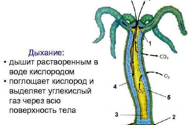 Каталог даркнет сайтов