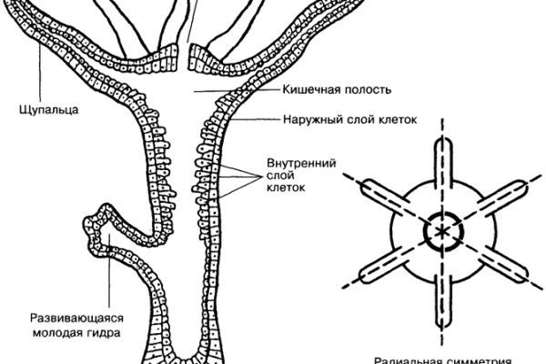 Сайт омг закладки